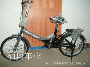 车轮上的童年 平乡县栖奥童车组装厂与自行车产业的影像记忆