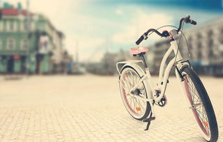 携手致富，共创未来 贝马自行车品牌的市场定位与行业启示